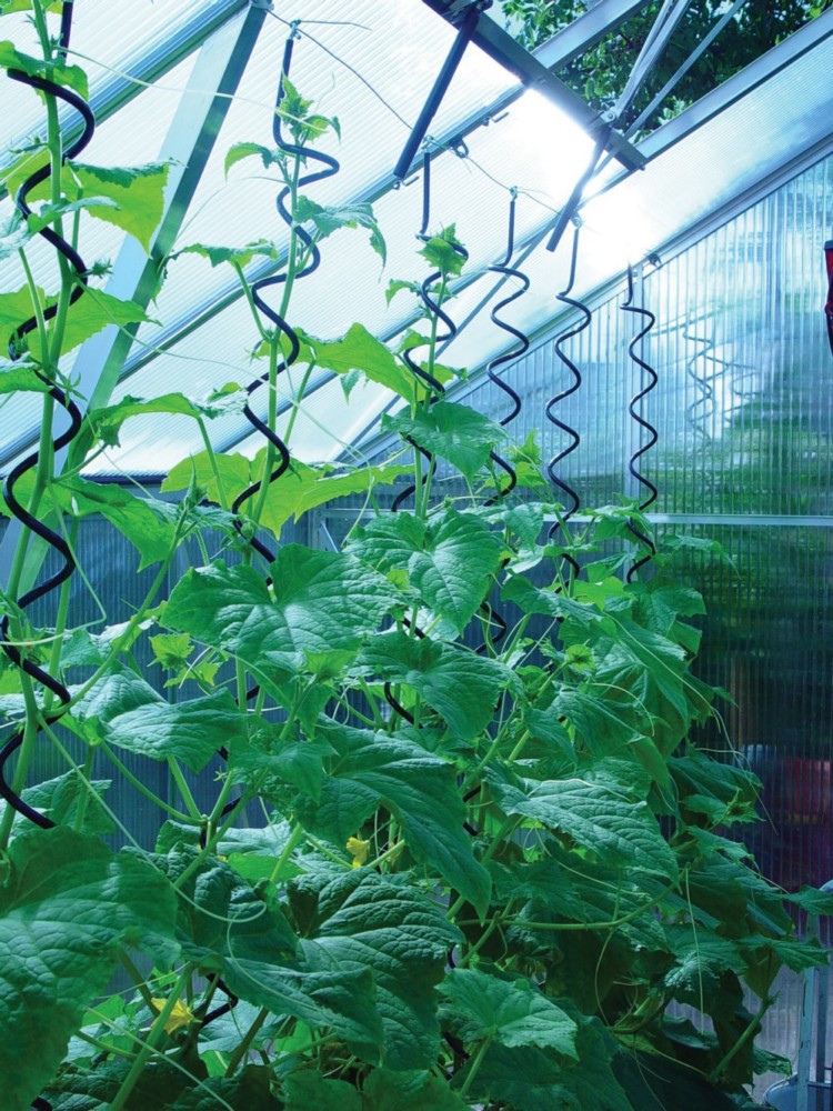 Plantespiral Plantespiral