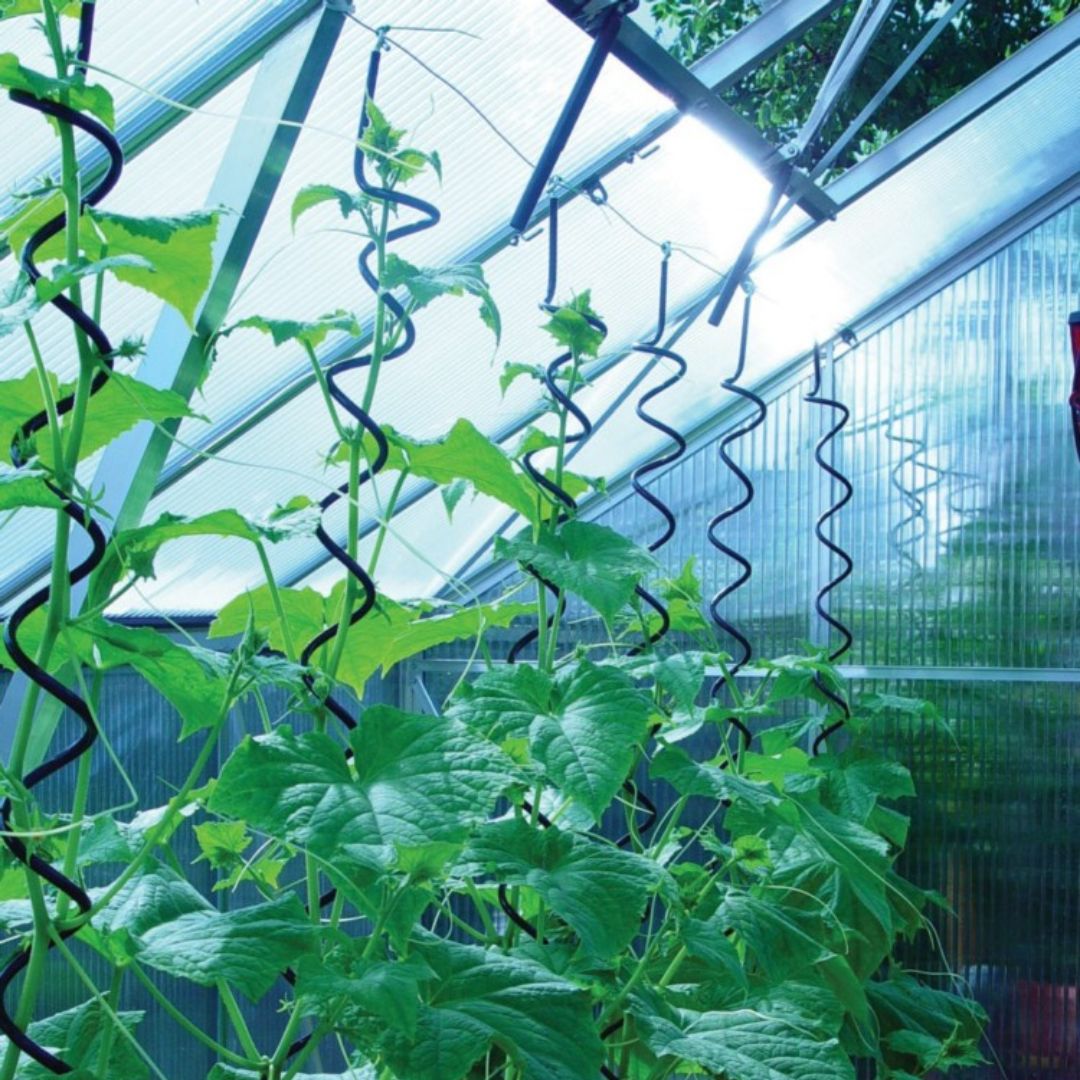 Plantespiral Plantespiral