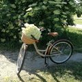 Kundebilde Classic sykkel 28« - 3 Brytere - cappucino