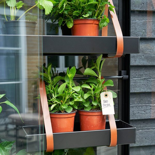 Drivhus City Green House