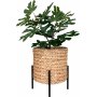 1 Antas gryte - Beige/svart