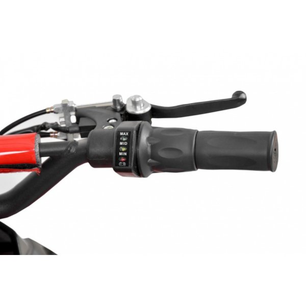 Mini-firhjuling - 800W Mini-firhjuling - 800W