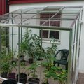 Kundebilde Royal veggdrivshus - 4,8 m²
