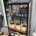 Kundebilde Drivhus City Green House