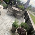 Kundebilde Provence utend�rs lenestol gr� kunstrotting hagestol utend�rs: St�dige gode stoler, godt forn�yd!