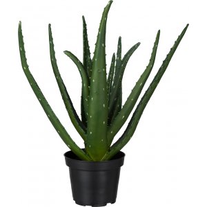 Kunstig plante av aloe vera