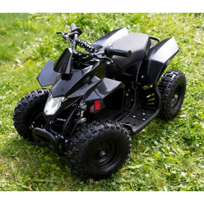Mini-ATV - Svart 800W
