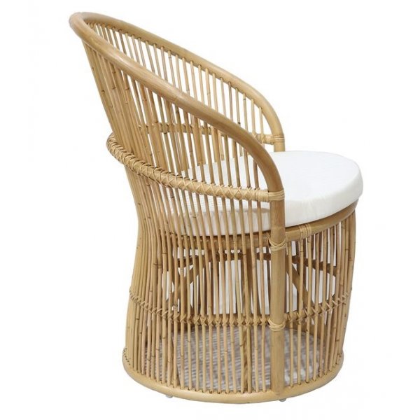 Narva lenestol i rotting - Nature