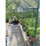 Drivhus Neptunus - Grnt 6,2 m herdet glass