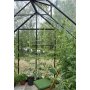 Drivhus Universal - Sort med herdet glass 9,9 m