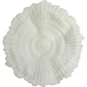 Korall veggdekorasjon D 56 cm - Lys