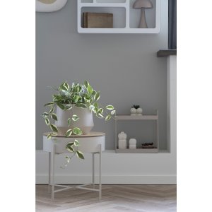 Porselensblomst kunstig plante - Gr�nn