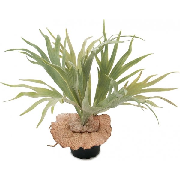 Kunstig plante av elghornbregne Kunstig plante av elghornbregne